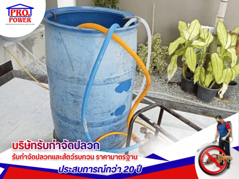 ช่างกำจัดแมลง ประสบการณ์ 20 ปี รับประกันผลงาน พัทยา